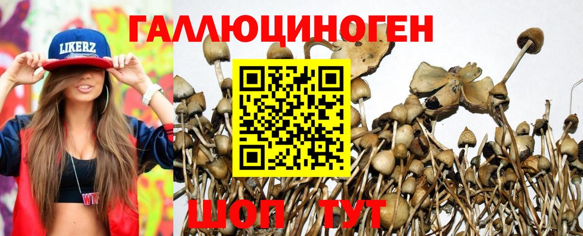Нижнеудинск  Псилоцибиновые грибы Magic Shrooms  где купить наркотик  Вход с VPN  Псилоцибиновые грибы Psilocybe 